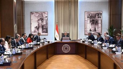 رئيس الوزراء يستعرض مشروع تطوير المنظومة الالكترونية لإنهاء إجراءات وصول السائحين للمطارات المصرية