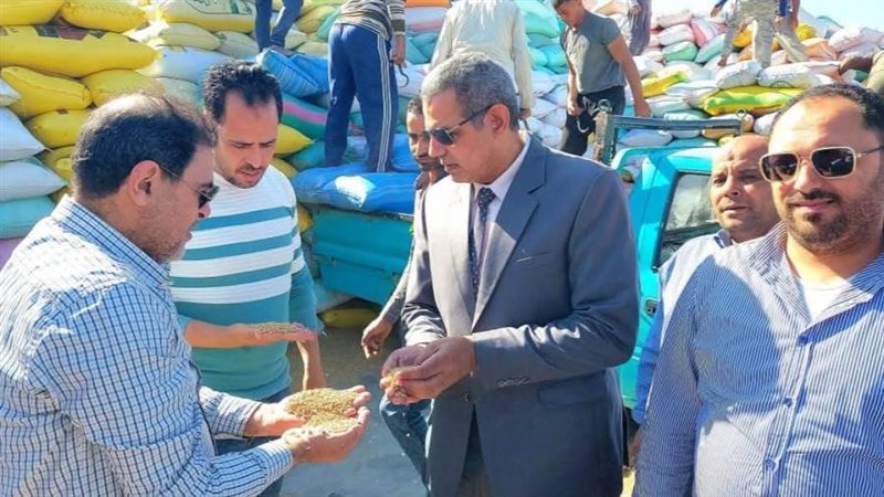 وكيل تموين البحيرة