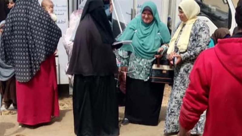 ملة التنشيطية لتنظيم