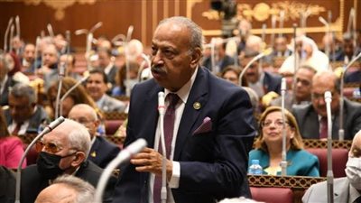 النائب هاني العسال: تجديد «الخطاب الديني» مسؤولية مجتمعية لبناء وعي حقيقي لمواجهة الفكر المتطرف