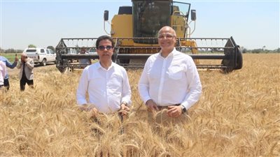 محافظ القليوبية ورئيس جامعة بنها يفتتحان موسم حصاد القمح بكلية الزراعة بمشتهر