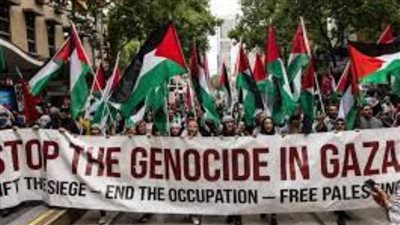 أسباب تمادي إسرائيل في الإبادة الجماعية بغزة.. هل يمكن وقفها؟