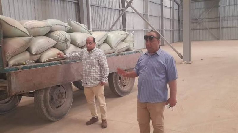 توريد محصول القمح