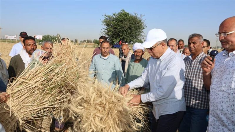 محافظ المنيا يتابع