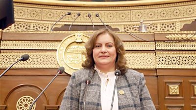 برلمانية: استقرار البحر الأحمر مرهون بوقف العدوان على غزة ومصر تتحرك لحماية أمنها القومي