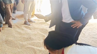 بالصور.. إحباط توريد قمح قديم خلال أعمال فحص التموين وسلامة الغذاء بالغربية
