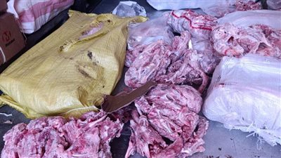 ضبط 10 أطنان هياكل دواجن فاسدة بمصنع في الخانكة