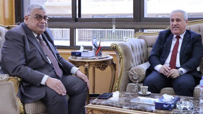 مجلس الدولة