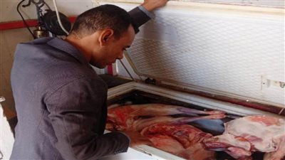 محافظ أسوان: الطب البيطري يضبط 200 كجم من اللحوم غير صالحة للاستهلاك الآدمي 