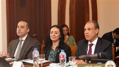 المستشار محمود فوزي يشارك في ثاني جلسات الاجتماع الرابع للجنة العليا الدائمة لحقوق الإنسان