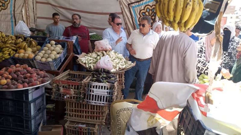 جولة محافظ الدقهلية