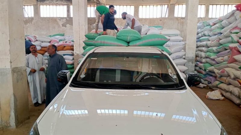 توريد القمح بالبحيرة