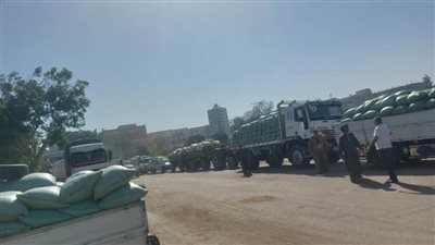 ارتفاع كميات القمح المحلي الموردة للشون والصوامع بمراكز أسيوط لـ89 ألف طن