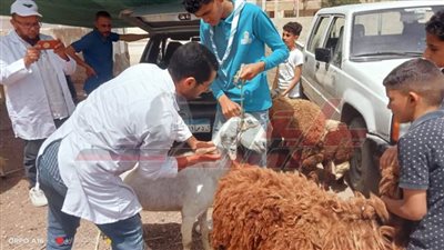 تقديم خدمات بيطرية بقرية أبو عليوة الشرقية