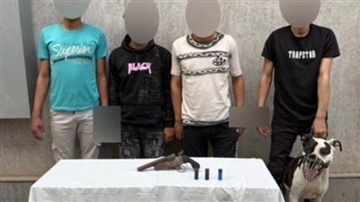 كشف ملابسات  تداول  فيديو يتضمن حدوث مشاجرة بالأسلحة النارية بالجيزة