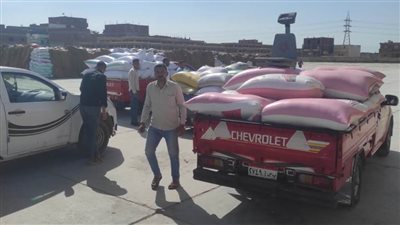 ارتفاع معدلات توريد القمح لأكثر من 121 ألف طن بشون وصوامع البحيرة