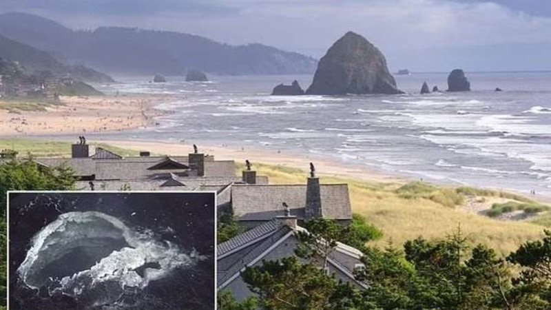 الساحل الأمريكي