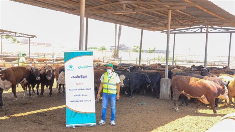 الاستعداد لتوزيع