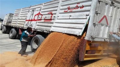 محافظ أسوان يتابع توريد 257 ألفًا و440 طنًا من القمح داخل الصوامع والشون والبناكر