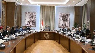 رئيس الوزراء يتابع الإجراءات اللوجيستية لاحتفالات افتتاح المتحف المصري الكبير