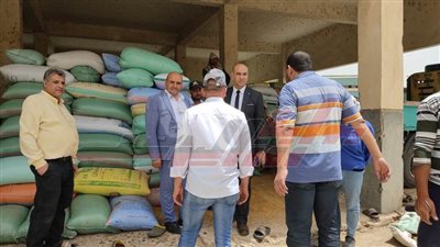 مواقع التخزين تستقبل 131624 طنا و34 كليو قمح محلي بكفر الشيخ