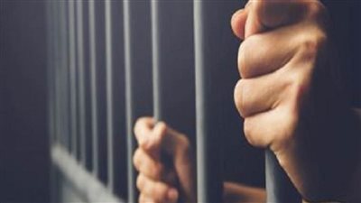 عاجل| المؤبد للمتهم بالتعدى جنسيًا على نجلته في القناطر الخيرية 