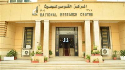 القومي للبحوث ينظم ورشة عن تطبيقات الذكاء الاصطناعي في البحث العلمي 