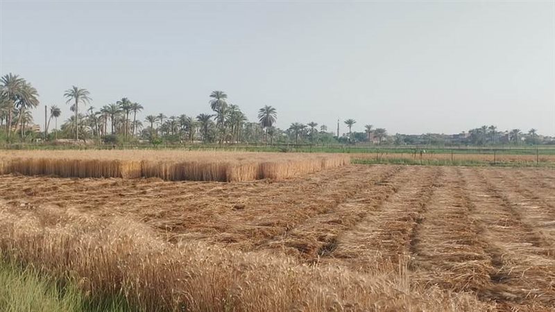 السيطرة على الحريق