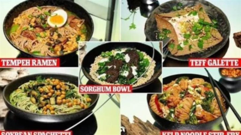 أطعمة المستقبل