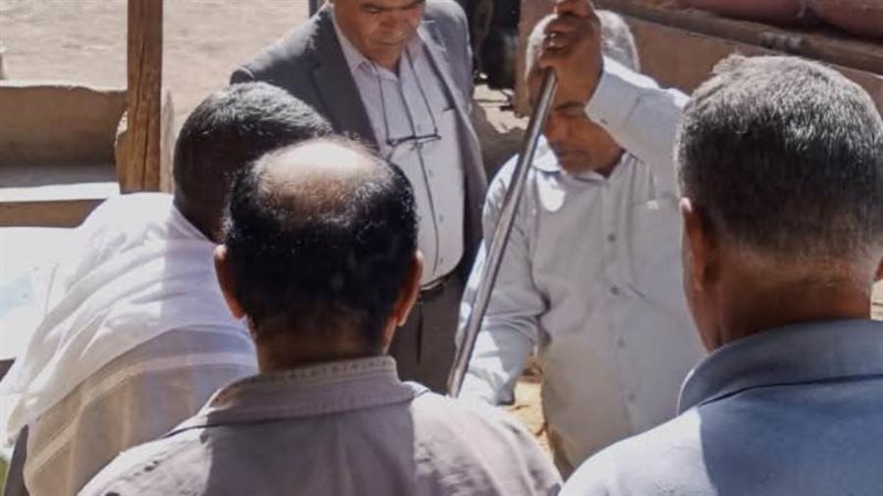 توريد محصول القمح