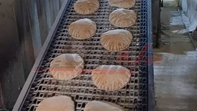 تحرير 87 محضرًا للمخابز المخالفة بكفر الشيخ