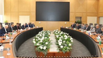 وزير الكهرباء: التزام مصري روسي بالجدول الزمني لمحطة 