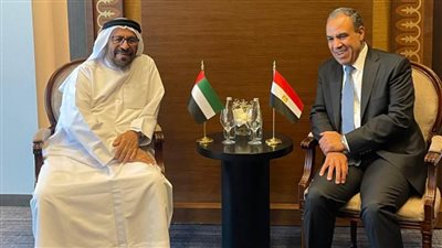 وزير الخارجية يبحث مع وزير الدولة الإماراتي العلاقات الأخوية والمستجدات بغزة واليمن وليبيا وسوريا