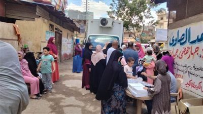 بينها 612 طفلا.. الكشف على 2720 مواطنًا بثلاث قوافل طبية مجانية بقرى البحيرة