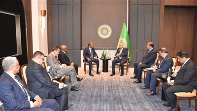 الأمين العام للجامعة العربية يلتقي رئيس مفوضية الاتحاد الأفريقي