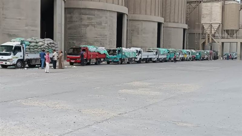 توريد القمح بالمنيا