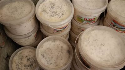  بالصور.. ضبط جبن يحتوي على حشرات وأسمدة مجهولة المصدر في الغربية