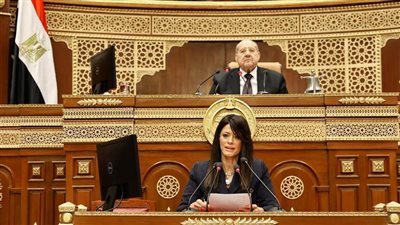 المشاط: الخطة الجديدة تستهدف زيادة الاستثمارات الكليّة لـ 3.5 تريليون جنيه لأول مرة