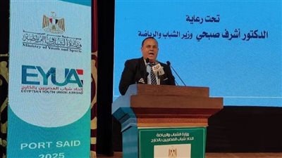 ليسوا حصالة فلوس.. اتحاد شباب المصريين: نظرة الدولة تغيرت تجاه أبنائنا بالخارج 