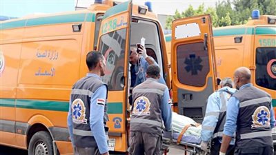 مصرع شاب صعقا بالكهرباء في شبين القناطر 