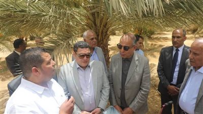 محافظ المنيا: الفترة المقبلة ستشهد التوسع في العديد من المشروعات لتحقيق تنمية متكاملة