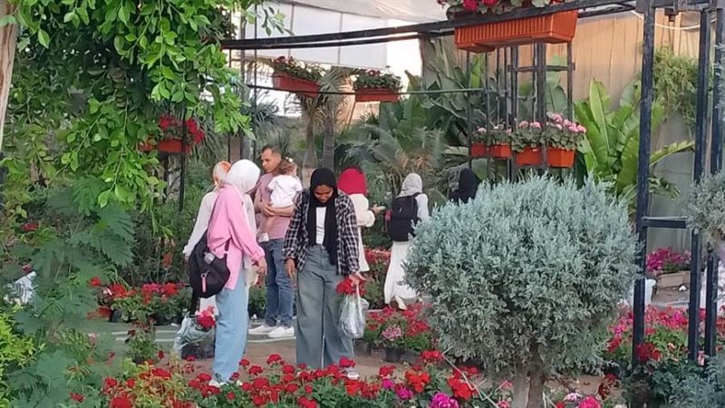 بوابة روز اليوسف