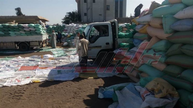 الشون والصوامع