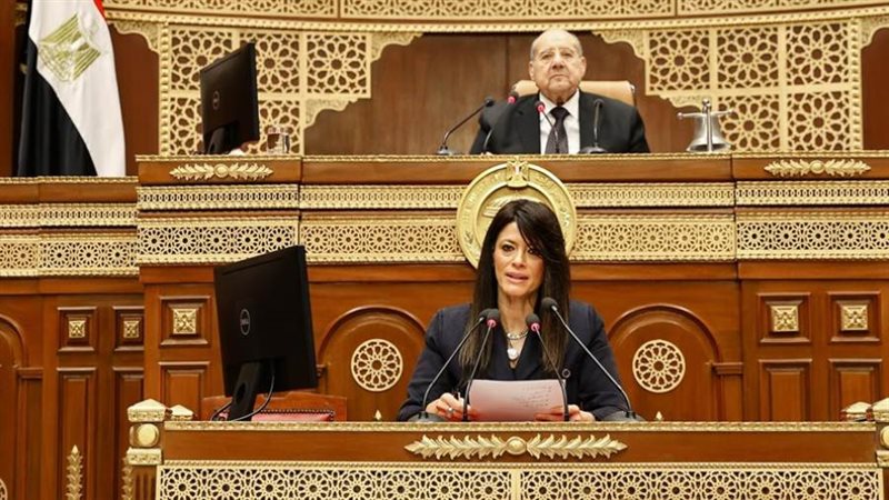 وزيرة التخطيط والتنمية