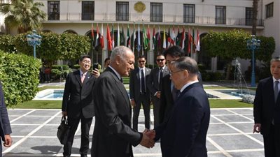 أبوالغيط يستقبل لي شويه عضو المكتب السياسي للجنة المركزية للحزب الشيوعي الصيني