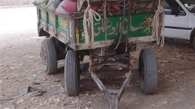 ضبط كميات من القمح الفاسد واللحوم غير الصالحة وتحرير 375 محضرًا بأسيوط 