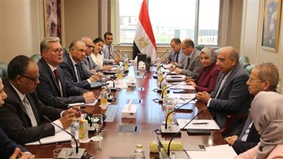 وزيرا الكهرباء والبترول يبحثان الاستعدادات لفصل الصيف