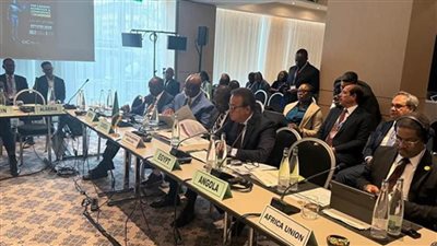  وزير الصحة يؤكد التزام مصر بتعزيز التصنيع المحلي للمنتجات الصحية