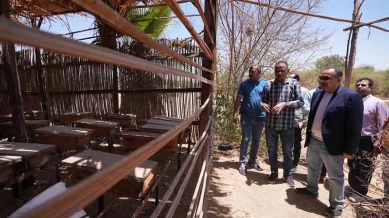 جولة المحافظ