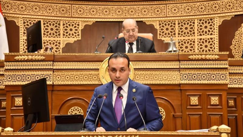 النائب عمرو فهمي